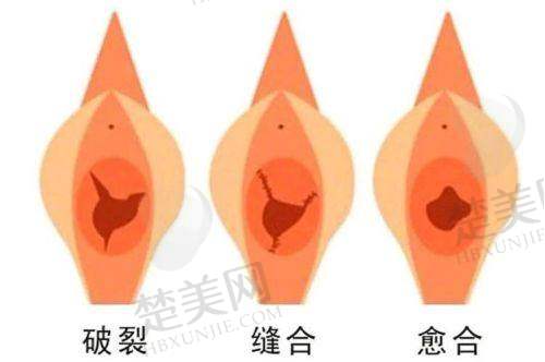 一、上海虹桥私密医院的性质