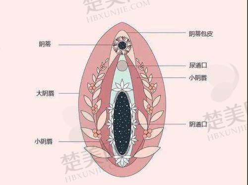 四、患者评价与口碑