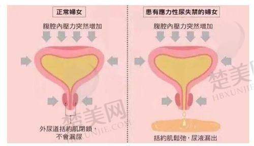 一、大连雅婷医疗美容的院内环境：温馨高雅的变得更美之地