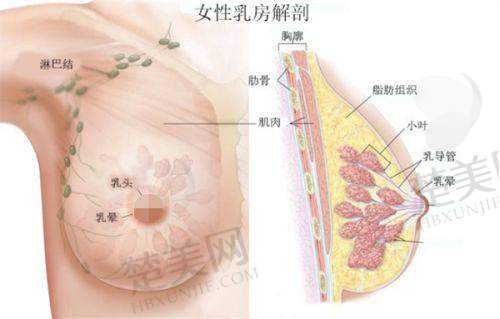 八、威海荣成睿辰医疗美容门诊部预约方式