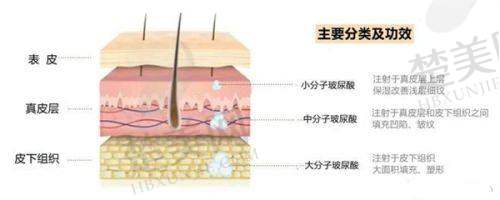 二、大连雅婷医疗美容的便捷流程：人性化服务全程相伴