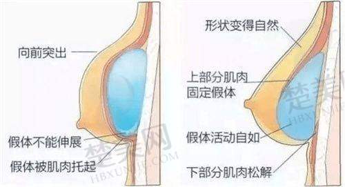 二、沈阳小树医疗美容诊所怎么样？