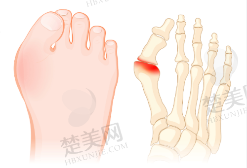 三、成都新丽美医疗美容医院诊疗项目有哪些？