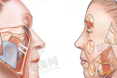 七、广东韩妃医学美容医院
