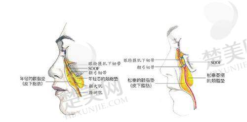 九、昆明梦想医疗美容医院真实的患者评价