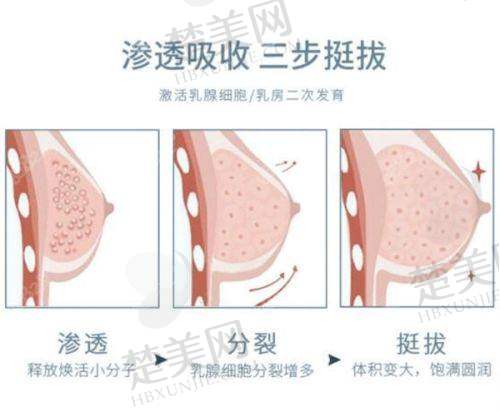 五、贵阳利美康整形外科医院医生介绍