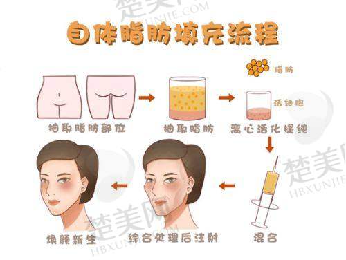三、贵阳华美紫馨整形美容医院诊疗项目有哪些？