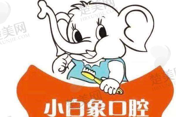 三、汉中小白象口腔门诊部诊疗项目有哪些?