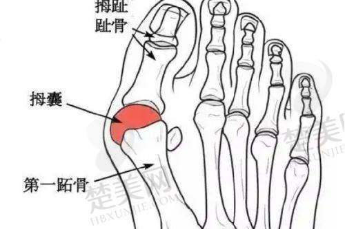 三、徐州京城皮肤病医院医疗美容科诊疗项目有哪些？
