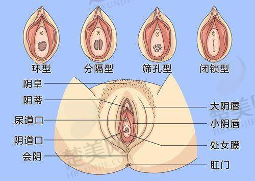 二、长葛鑫鸿基医院整形科怎么样？