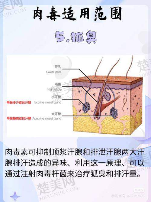 四、长葛鑫鸿基医院整形科特色项目