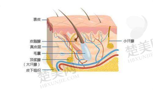 二、南宁人热衷的整形项目及原因
