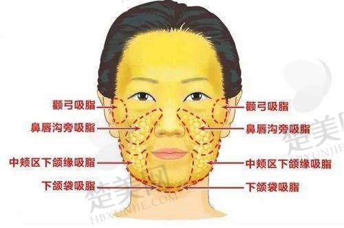 四、伽美贝拉医疗美容:专注连锁与科研合作的医美机构