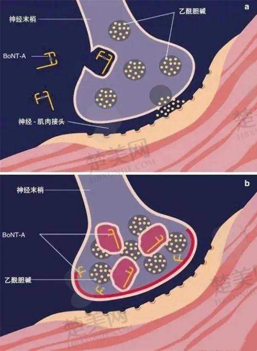 九、西宁青美医疗美容医院真实的患者评价