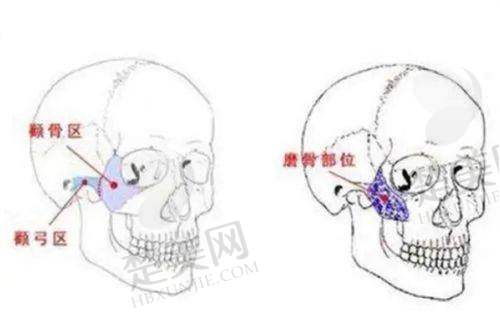 七、成都百龄驻颜医学美容门诊部:历史悠久的面部五官骨干医生
