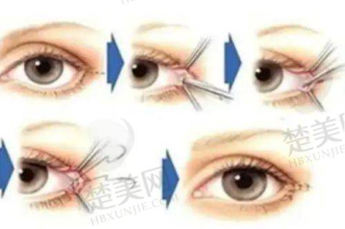 六、网友评价