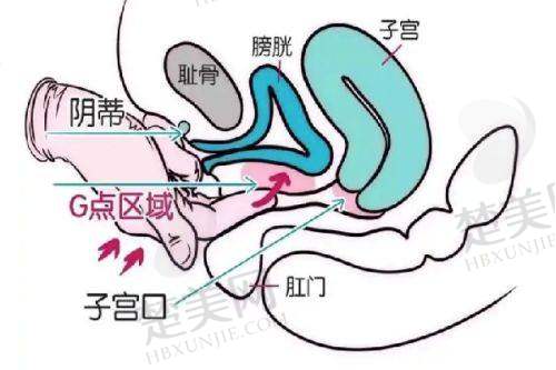 三、辽宁曙光整形外科医院正规性之医生团队