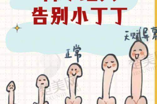 七、沈阳杏林耳部整形医院价格方面