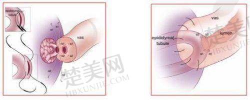 六、吉林华怡医疗美容——擅长热门项目的优雅之选