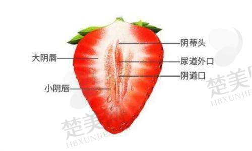 七、南阳市第三医院美容科地址及交通