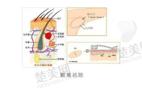 三、南京医科大学友谊整形外科医院泰州医疗美容门诊部——正规专精的除皱机构