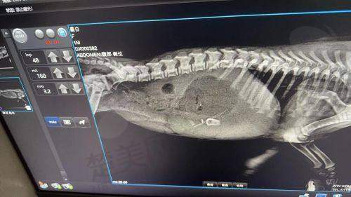 五、深圳曹孟君医疗美容医院