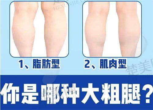 十、沈阳杏林其他整形项目医院价格水平
