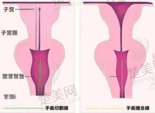 五、上海美诗沁医疗美容诊所医生介绍
