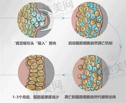 三、沈阳北方整形医院其他非凡医生