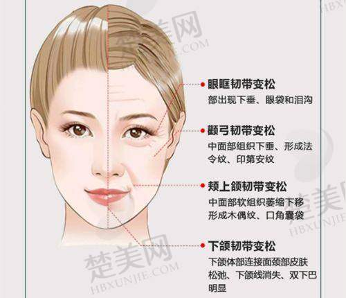 (五)私密整形