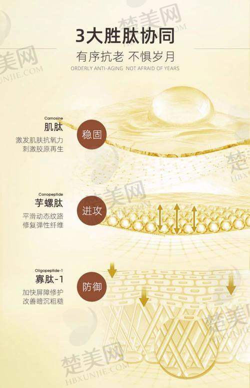 四、综合对比与选择建议