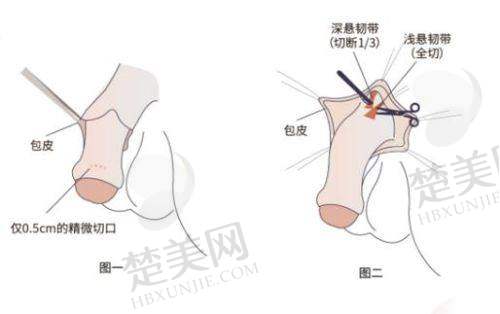 五、浙江省立同德医院——中西结合派